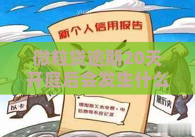 微粒贷逾期20天开庭后会发生什么