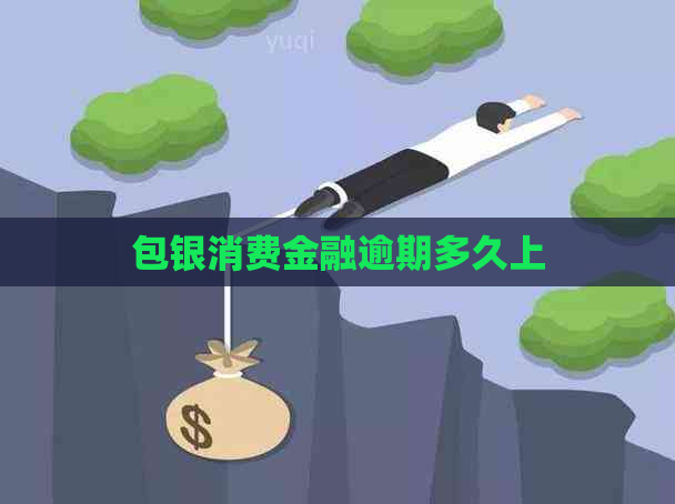 包银消费金融逾期多久上