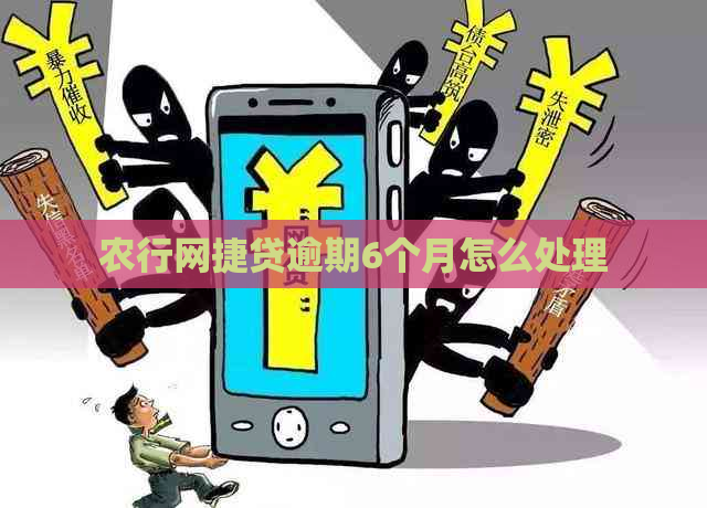 农行网捷贷逾期6个月怎么处理