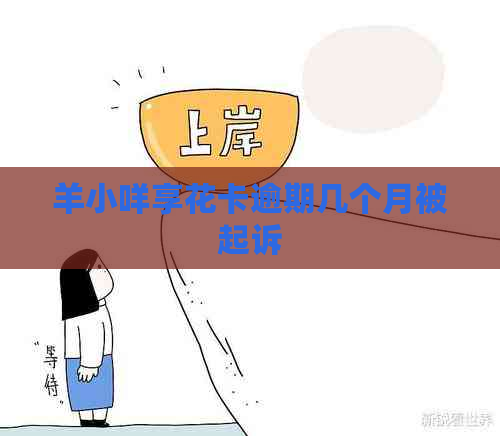 羊小咩享花卡逾期几个月被起诉