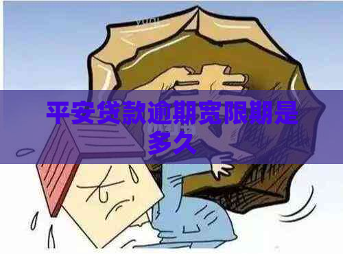 平安贷款逾期宽限期是多久