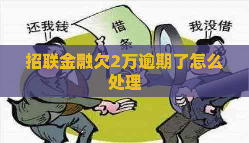 招联金融欠2万逾期了怎么处理