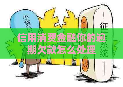 信用消费金融你的逾期欠款怎么处理