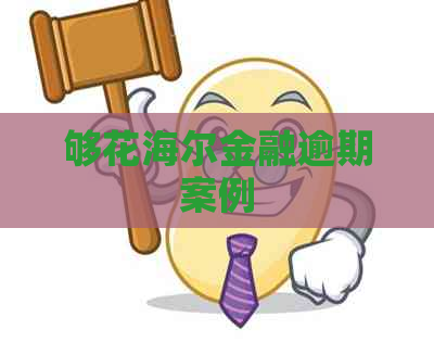 够花海尔金融逾期案例