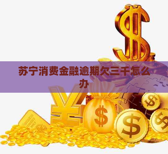 苏宁消费金融逾期欠三千怎么办