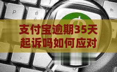 支付宝逾期35天起诉吗如何应对