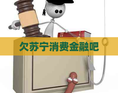 欠苏宁消费金融吧