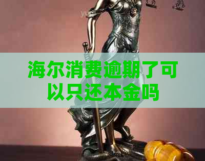 海尔消费逾期了可以只还本金吗