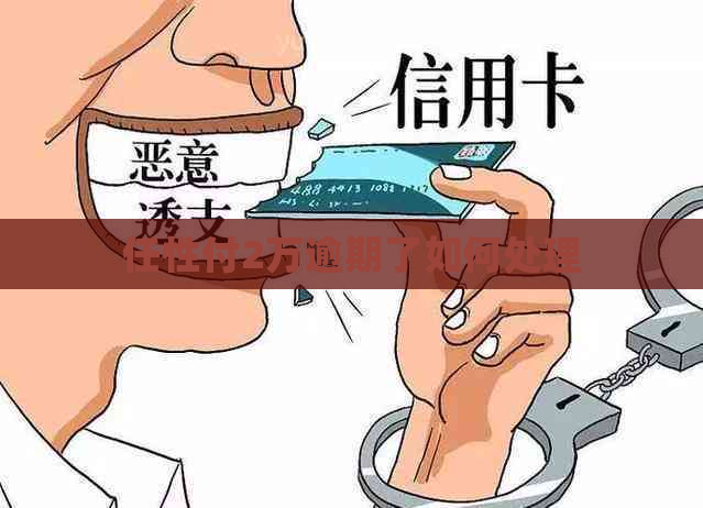 任性付2万逾期了如何处理