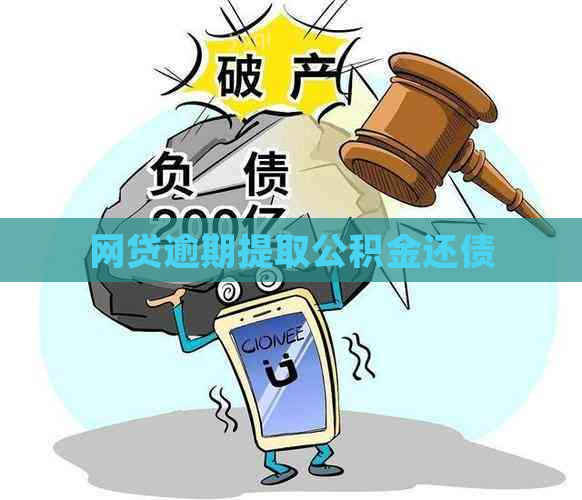 网贷逾期提取公积金还债