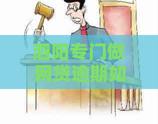 泗阳专门做网贷逾期如何解决