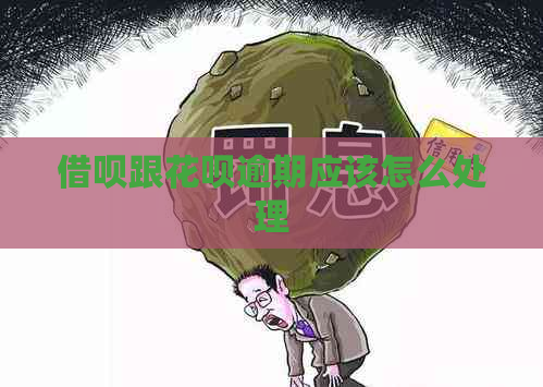 借呗跟花呗逾期应该怎么处理