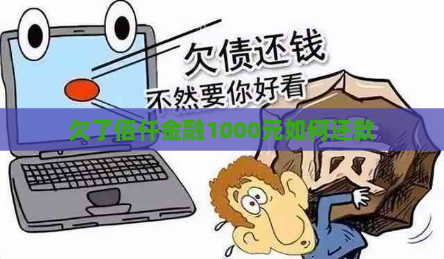 欠了佰仟金融1000元如何还款