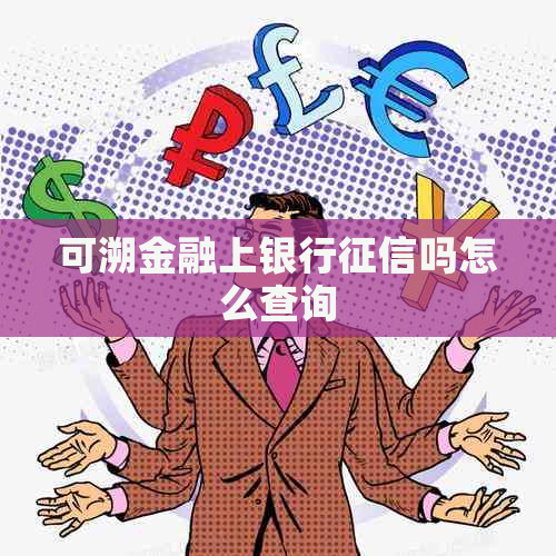 可溯金融上银行吗怎么查询