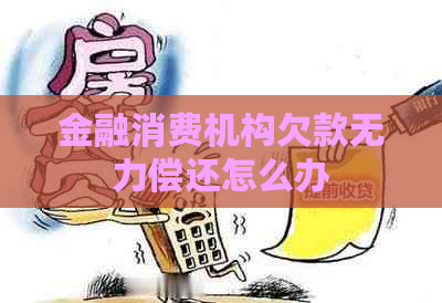 金融消费机构欠款无力偿还怎么办