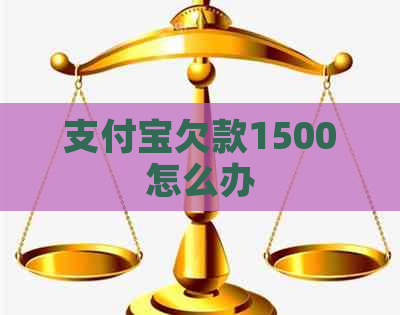 支付宝欠款1500怎么办