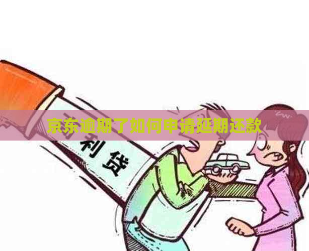 京东逾期了如何申请延期还款