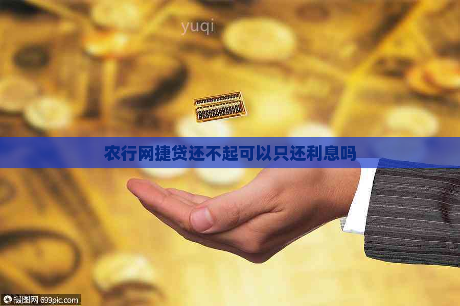 农行网捷贷还不起可以只还利息吗