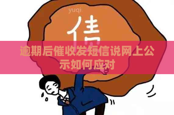 逾期后发短信说网上公示如何应对