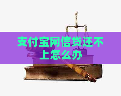 支付宝网信贷还不上怎么办