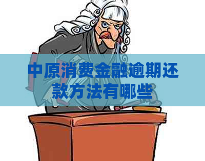 中原消费金融逾期还款方法有哪些