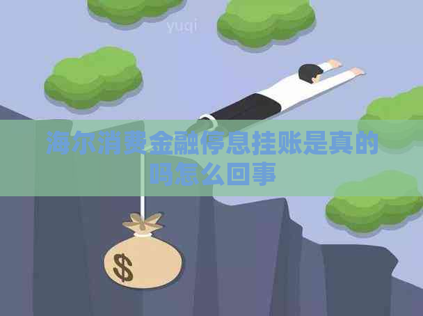 海尔消费金融停息挂账是真的吗怎么回事