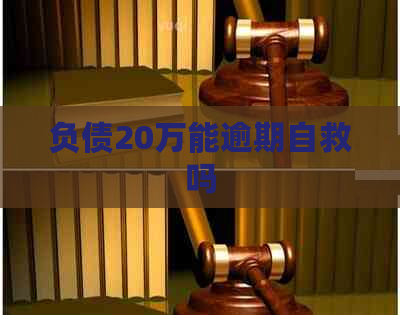 负债20万能逾期自救吗