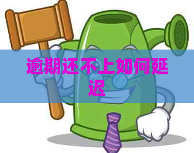 逾期还不上如何延迟