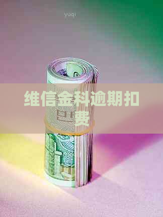 维信金科逾期扣费