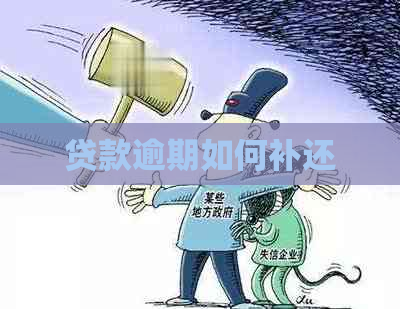 贷款逾期如何补还