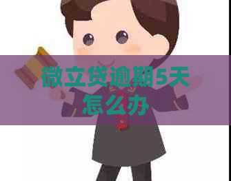 微立贷逾期5天怎么办