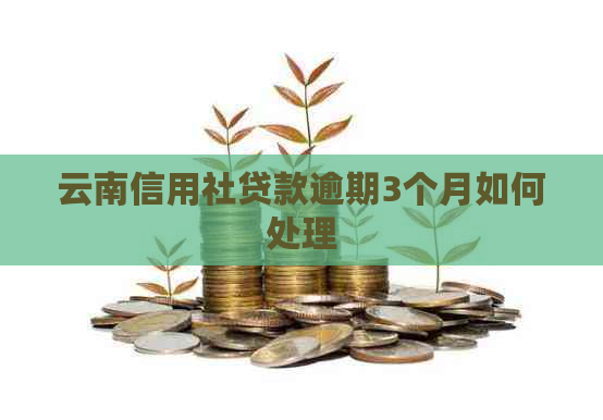 云南信用社贷款逾期3个月如何处理