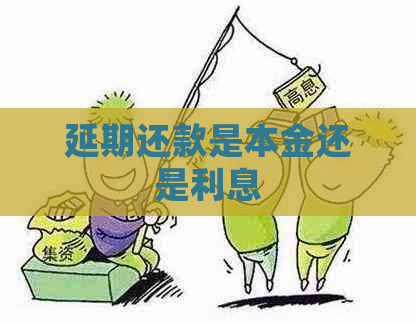 延期还款是本金还是利息