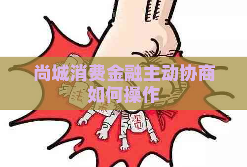 尚城消费金融主动协商如何操作