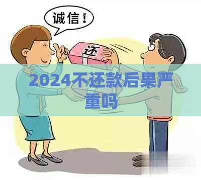 2024不还款后果严重吗