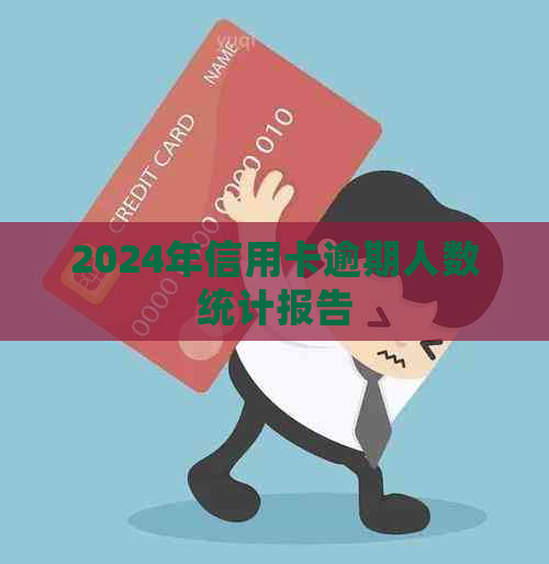 2024年信用卡逾期人数统计报告