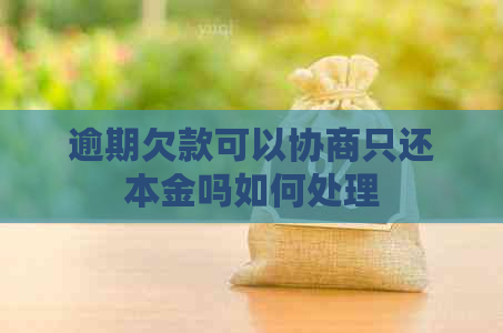 逾期欠款可以协商只还本金吗如何处理