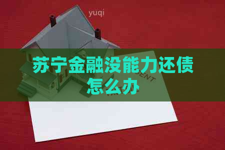 苏宁金融没能力还债怎么办