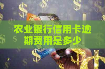 农业银行信用卡逾期费用是多少