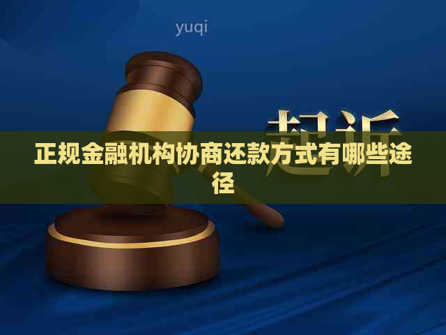 正规金融机构协商还款方式有哪些途径