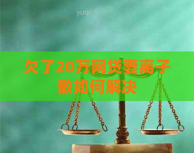 欠了20万网贷妻离子散如何解决