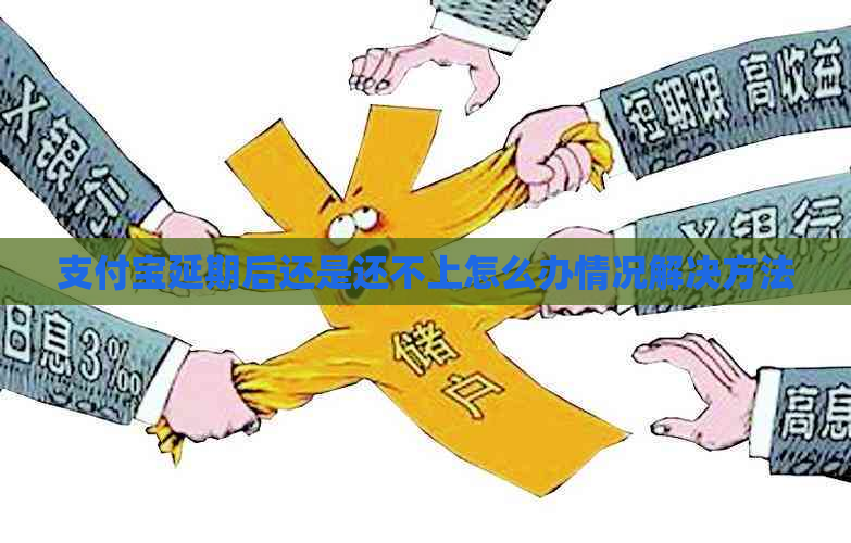 支付宝延期后还是还不上怎么办情况解决方法