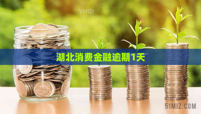 湖北消费金融逾期1天