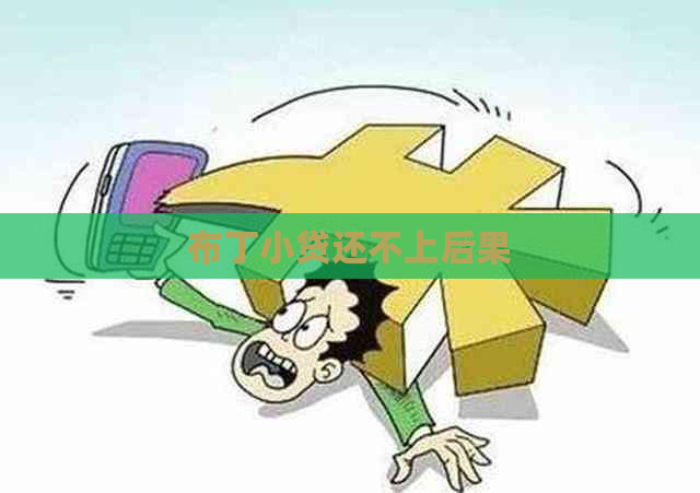 布丁小贷还不上后果