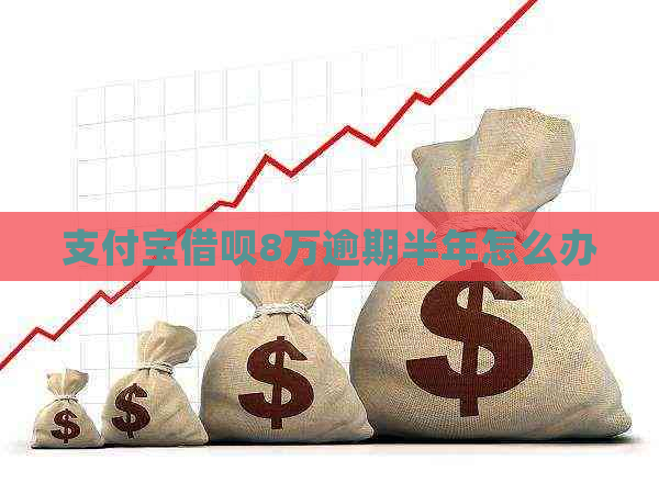 支付宝借呗8万逾期半年怎么办