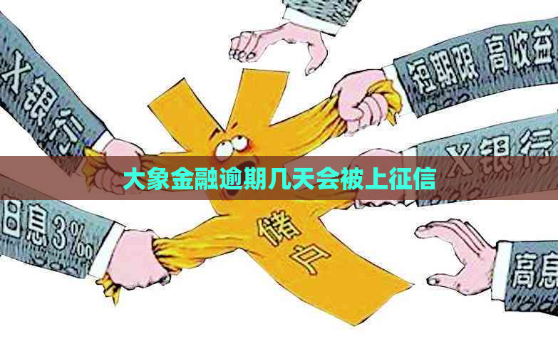 大象金融逾期几天会被上