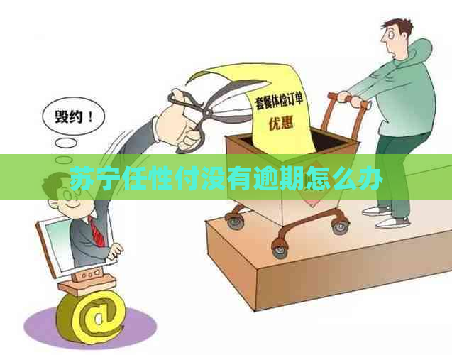 苏宁任性付没有逾期怎么办