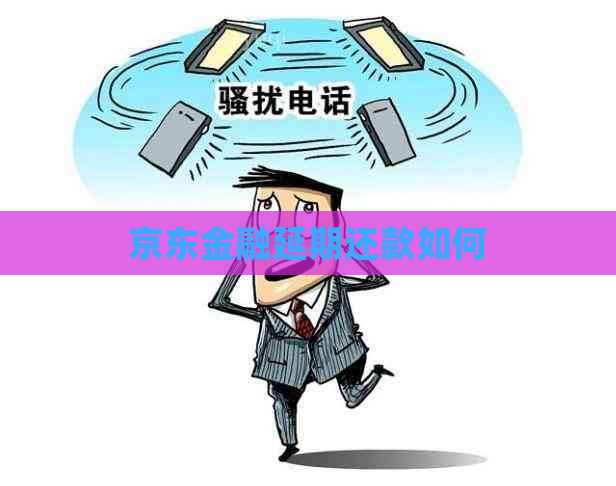 京东金融延期还款如何