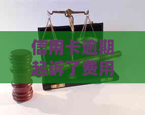 信用卡逾期起诉了费用标准如何计算