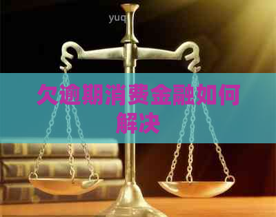 欠逾期消费金融如何解决